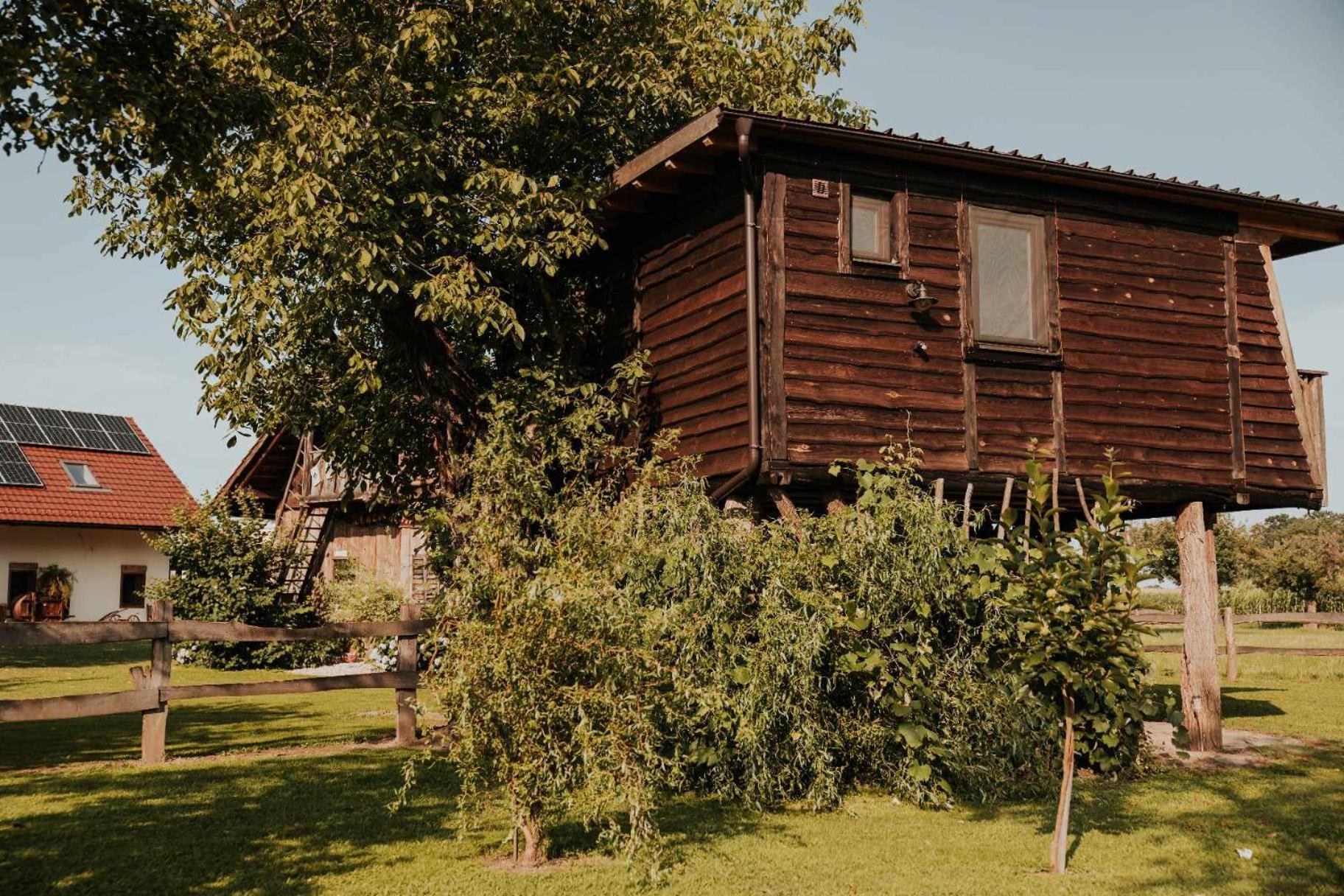 柳托梅尔 Treehouse Drevesna Hiska Strkovo Gnezdo Ranc Jures酒店 外观 照片