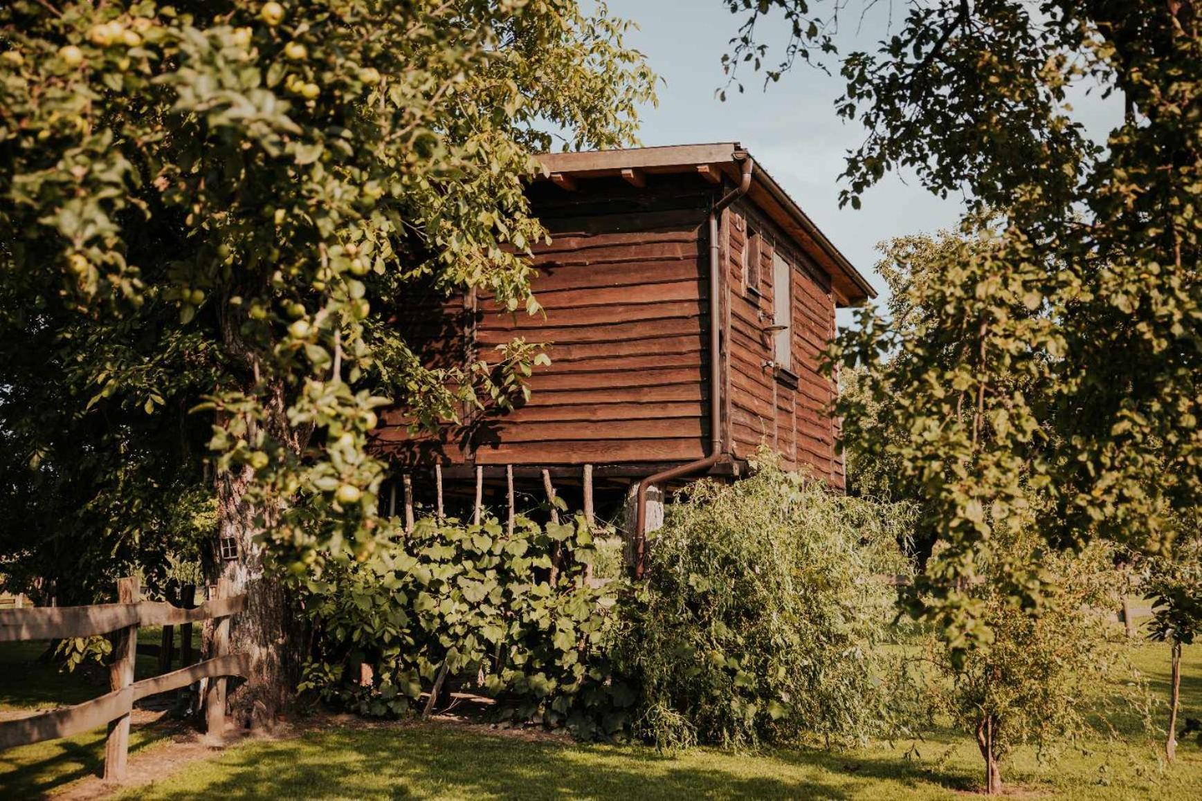 柳托梅尔 Treehouse Drevesna Hiska Strkovo Gnezdo Ranc Jures酒店 外观 照片